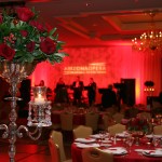 Opera Ball 2011