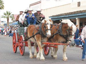 Gold Rush 2007 032